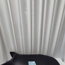 BMW R1250GS R1200GS 랠리시트 렐리 안장 시트 랠리 흰파빨 이미지
