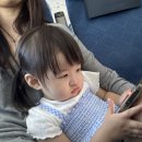 시재시재 이미지