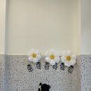 멍스럽 | 경기광주 애견카페 ”멍스럽”