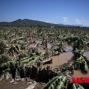 치우농장 이미지