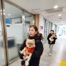 스테이증산 | [서대문] 예비 초6 청담어학원 이글 Eagle 레벨업 실패 버디 스테이 점수 후기