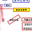 백년건강 의료기 이미지