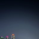 종일코스 이미지