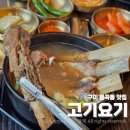 문장로-11 | 구미 캠핑 식당 고기요기 갈비탕 맛집 애견동반식당 리뷰