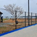 고령테니스장 이미지