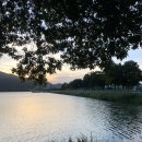 인준목장 | [대구여행2to3/3] 수성호텔, 걸리버막창, 수성못카페 포켓, 킴브로스피자, 동성로 중앙떡볶이, 카르멜...