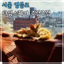 부리우체국 | 서울 실내 동물원 영등포 타임스퀘어 놀거리 가볼만한곳 주렁주렁 동물먹이주기체험 할인