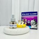 온리애옹 이미지