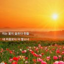 일장춘몽 이미지