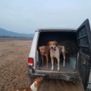 미미&코코 이미지