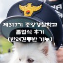 중앙경찰학교 | [충북/충주]중앙경찰학교 제 317기 신임경찰 졸업식 애견동반 후기