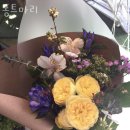 퐁트마리