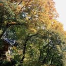 성전암등산로 이미지