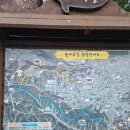 울산대공원 산책로변 이미지