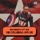 캡틴 아메리카 4 OTT 공개 - 5월 디즈니플러스 신작 3편