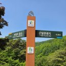 소백산자락길의 진수. 소백산자락길 6자락! 자락길~ 오늘만 같아라