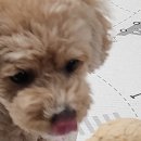 너를닮은케이크 이미지