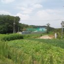 청암 행정사 사무소 이미지