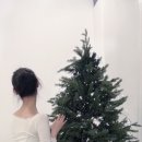 킴스메디칼 이미지