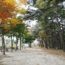 척산온천마을 이미지