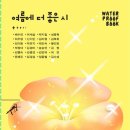 스테이일렁 이미지