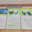 예재터널농장 이미지