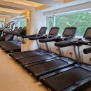 메이저피트니스 이미지