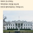 포유농장 | 하와이의 아침을 담은 한 잔, 코나포유 하와이 코나커피 매력 후기