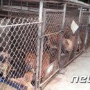 안고농장 이미지