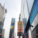 인물나개 | [뉴욕여행]브로드웨이 뮤지컬할인방법 라이온킹예매&amp;관람후기/오쇼티켓