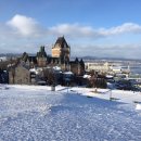 더(THE)치킨 이미지