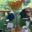 팔월펜션 이미지