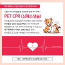 동물병원 WITH-PET 이미지