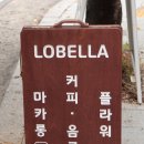 로벨라 이미지