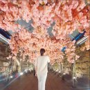 씨유 김해어방쉼터점 | 밀양 트윈터널_경남 아이와 가볼만한곳 가족여행 포토존 데이트 코스 &amp;밀양댐 드라이브 코스