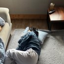 뜨란채펜션 이미지