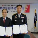 강동우체국 티스토리