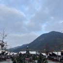 윗모산마을회관 | 계룡 키즈프렌들리 글램핑_파크오브드림 솔직후기 장단점(매너타임XX)_크리스마스시즌 방문