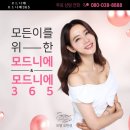 허니댕댕 이미지