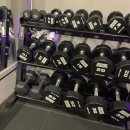 스트롱살롱 이미지