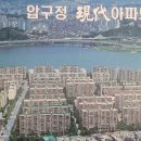 압구정-264 이미지