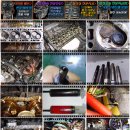 오토카써비스 이미지