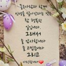 알천지 이미지