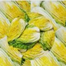 팔팔농장 이미지