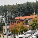 에덴 | 이천 에덴 파라다이스 1박 후기