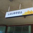 느티나무주유소 이미지