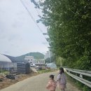 하빈이네 텃밭 다녀왓어요~🥬🥬 이미지