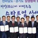 판교 태양광발전소 이미지