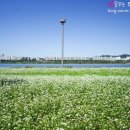 엄마탕수육 - 당진시 당진시장길 27-29 | 엄마탕수육