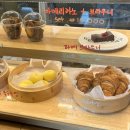 [제주도 서귀포카페-“벨진밧”] 휴양지 감성의 배우 박한별 운영하는 대정읍카페 애견동반가능